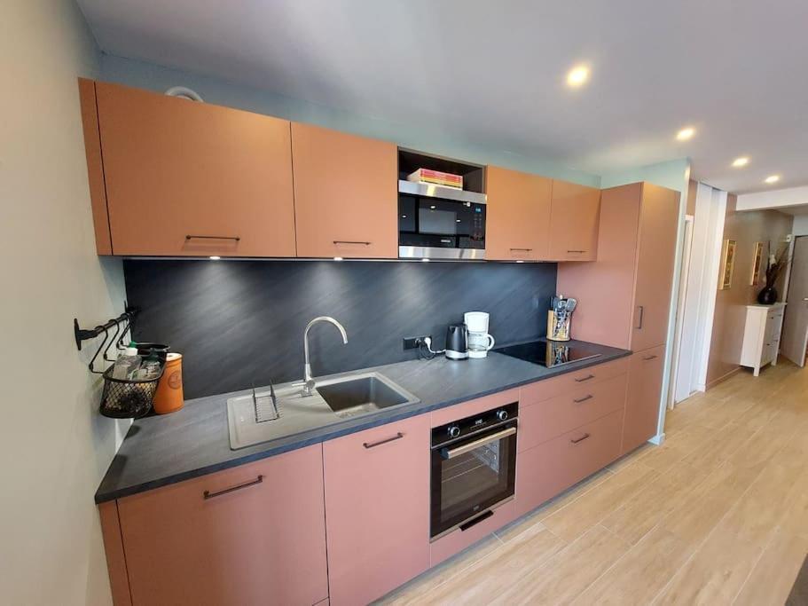 Charmant Appartement Lac D'Annecy / Ski - 6 Pers Menthon-Saint-Bernard Ngoại thất bức ảnh