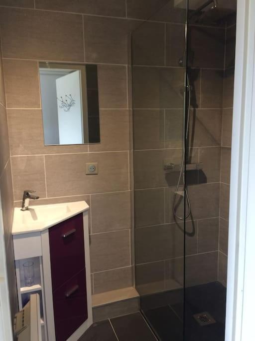 Charmant Appartement Lac D'Annecy / Ski - 6 Pers Menthon-Saint-Bernard Ngoại thất bức ảnh