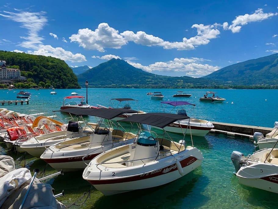 Charmant Appartement Lac D'Annecy / Ski - 6 Pers Menthon-Saint-Bernard Ngoại thất bức ảnh
